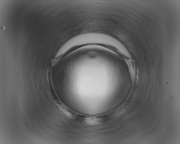 X0000082750269200702162007
