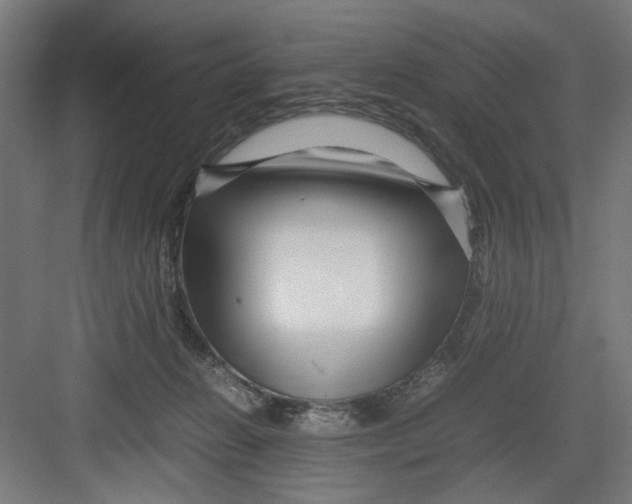 X0000082750270200702162007