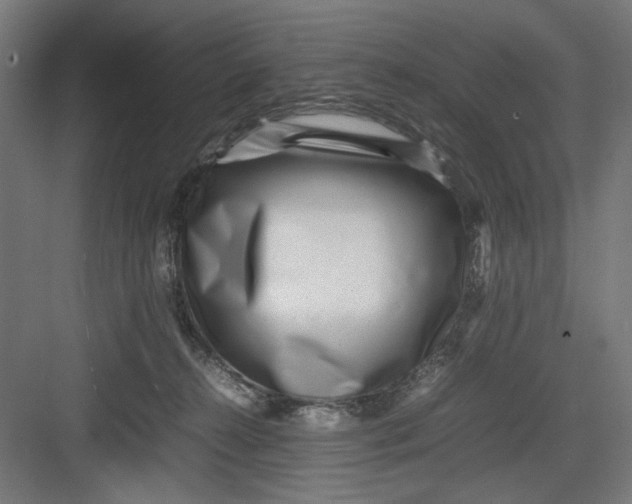 X0000082750272200702162007