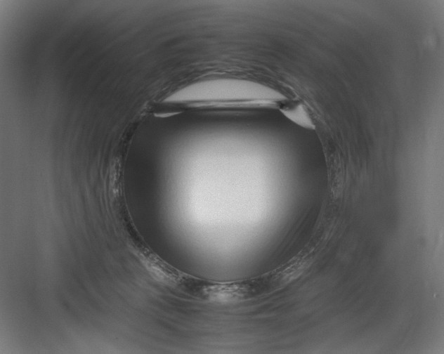 X0000082750273200702162007