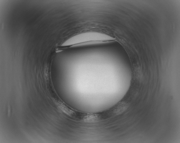 X0000082750274200702162007