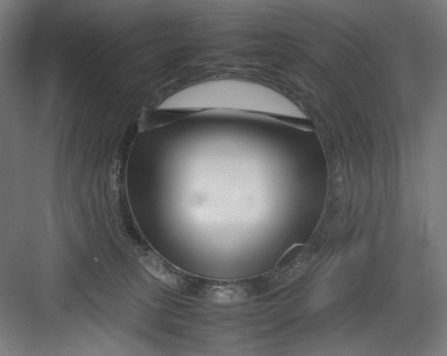 X0000082750275200702162007