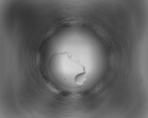 X0000082750278200702162007