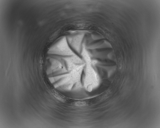 X0000082750279200702162007