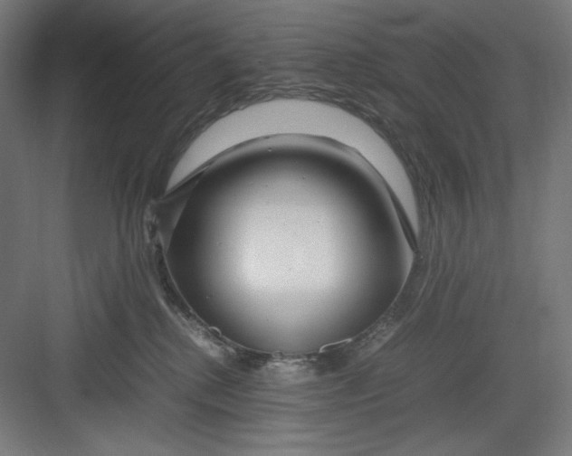 X0000082750280200702162007