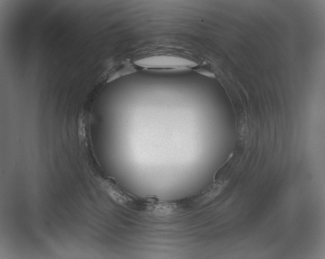 X0000082750282200702162007