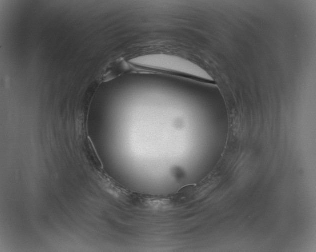 X0000082750283200702162007
