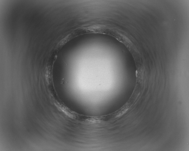 X0000082750284200702162007