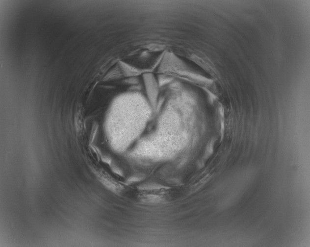 X0000082750285200702162007