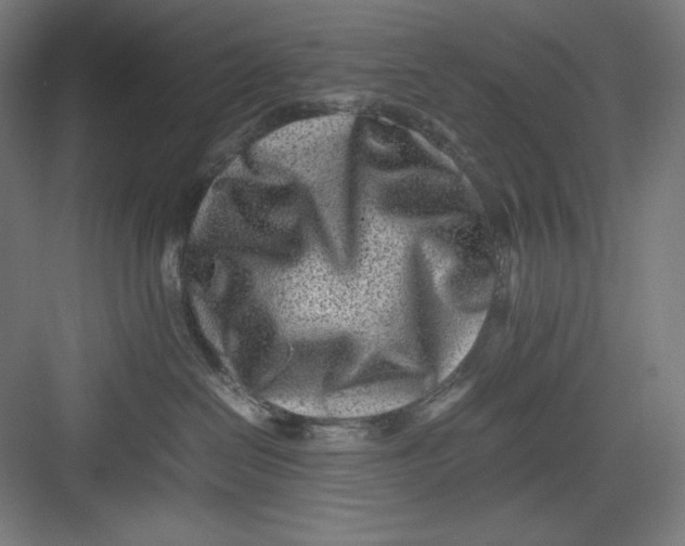 X0000082750286200702162007