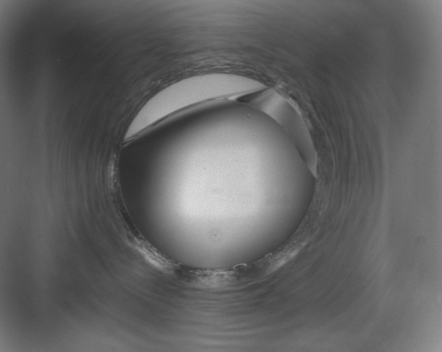 X0000082750288200702162007