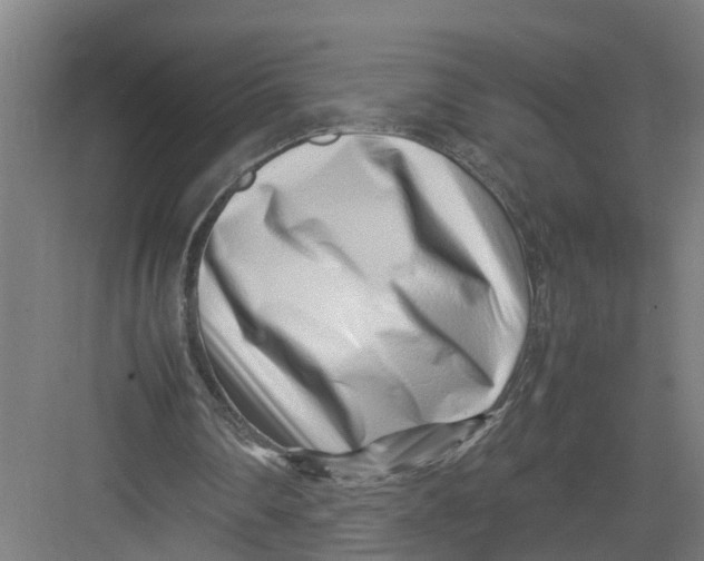 X0000082750290200702162007