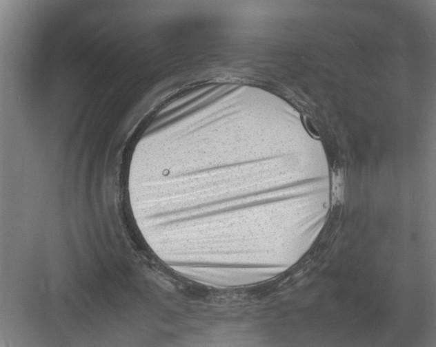 X0000082750291200702162007