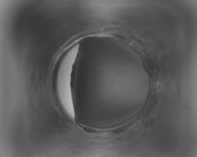 X0000082750295200702162006