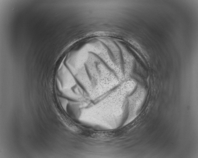 X0000082750297200702162006