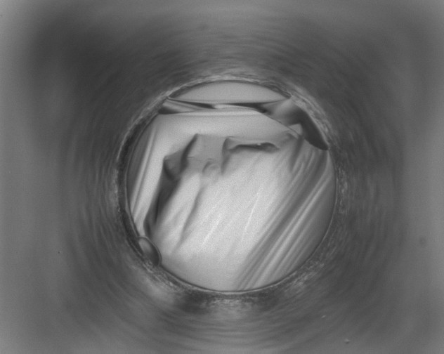X0000082750298200702162006