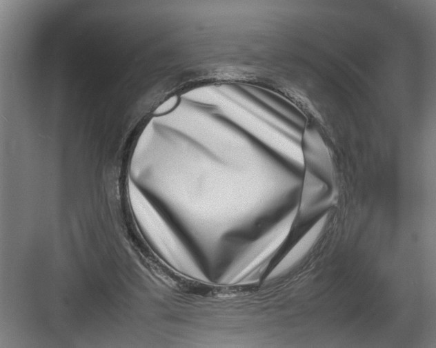 X0000082750299200702162006