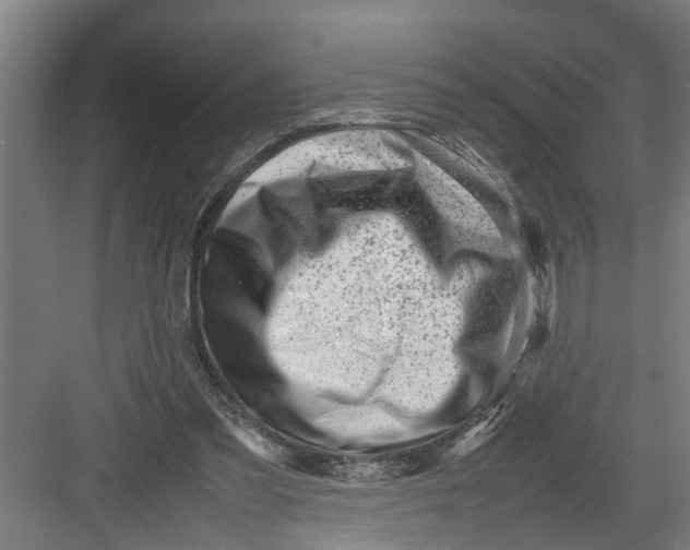 X0000082750301200702162006