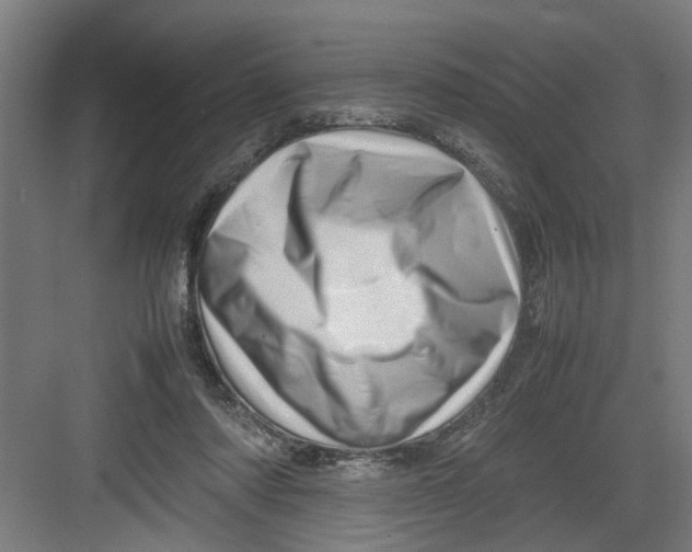X0000082750310200702162006