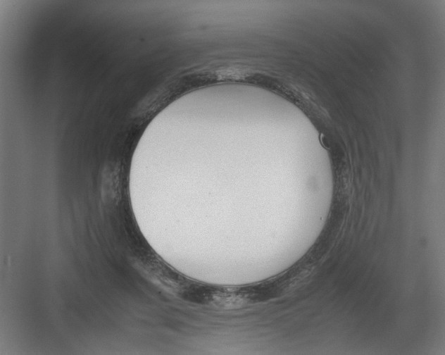 X0000082750311200702162006