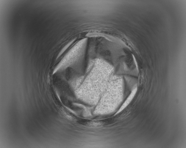 X0000082750313200702162006