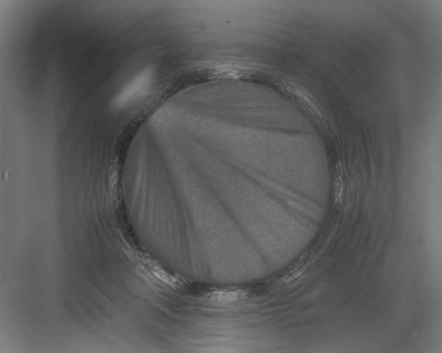 X0000082750314200702162006