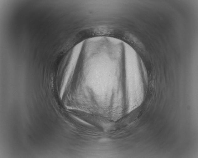 X0000082750315200702162006