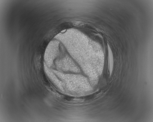 X0000082750319200702162006