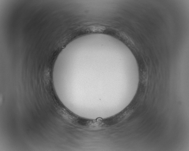 X0000082750321200702162006