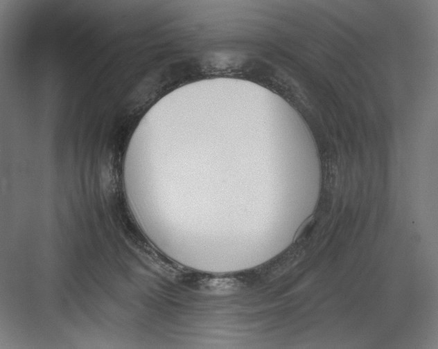 X0000082750324200702162006