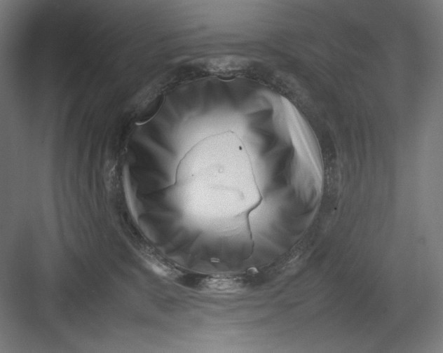 X0000082750327200702162006