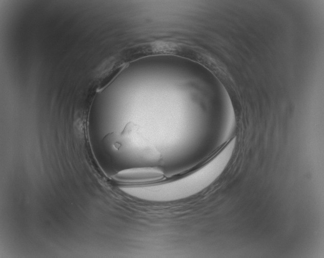 X0000082750329200702162006