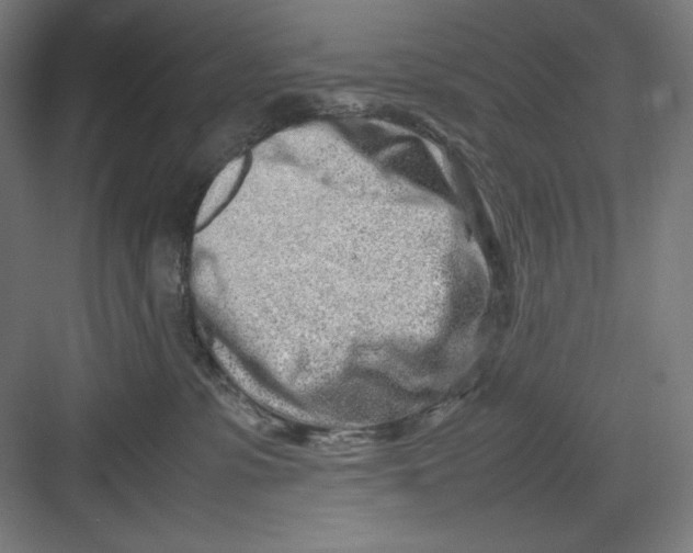 X0000082750331200702162006