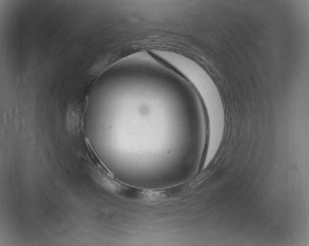 X0000082750333200702162006