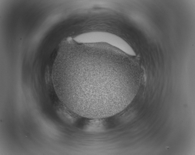 X0000082750335200702162006