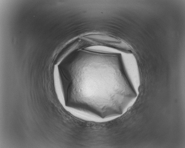 X0000082750337200702162005