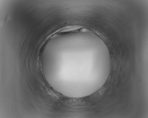 X0000082750338200702162005