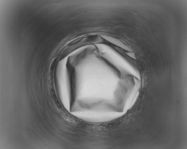X0000082750339200702162005