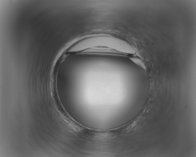 X0000082750342200702162005