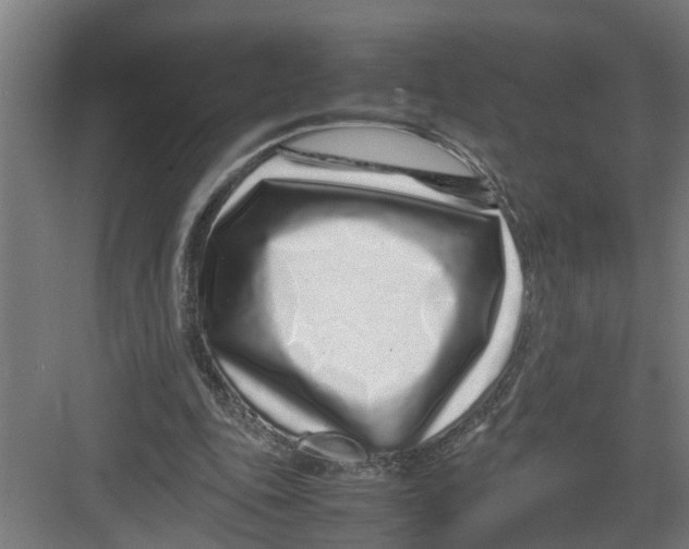 X0000082750343200702162005