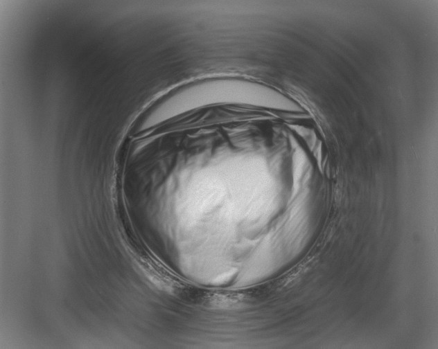 X0000082750346200702162005
