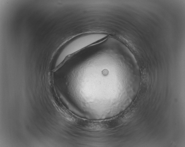 X0000082750351200702162005