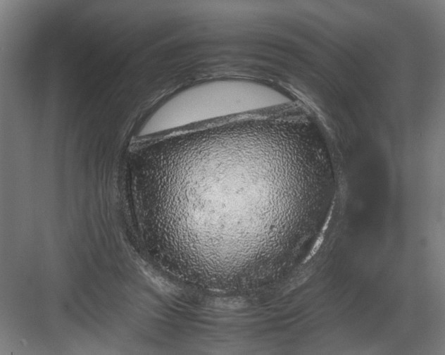 X0000082750353200702162005