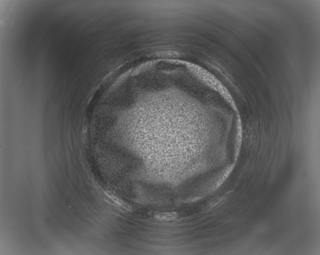 X0000082750355200702162005
