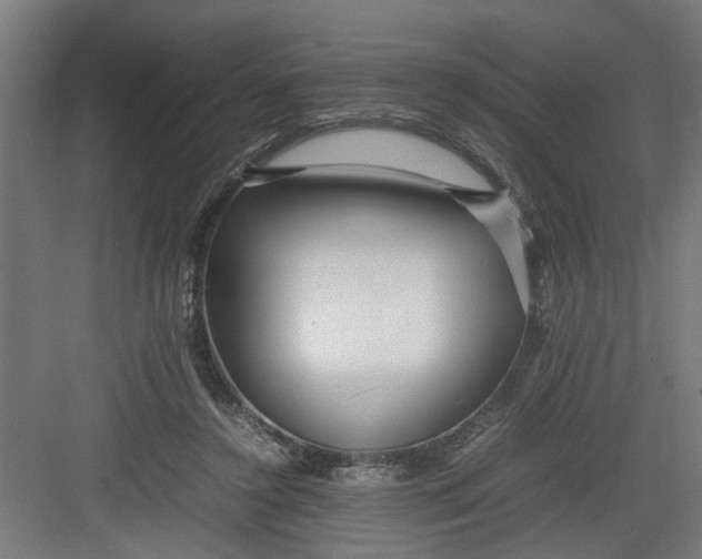 X0000082750356200702162005