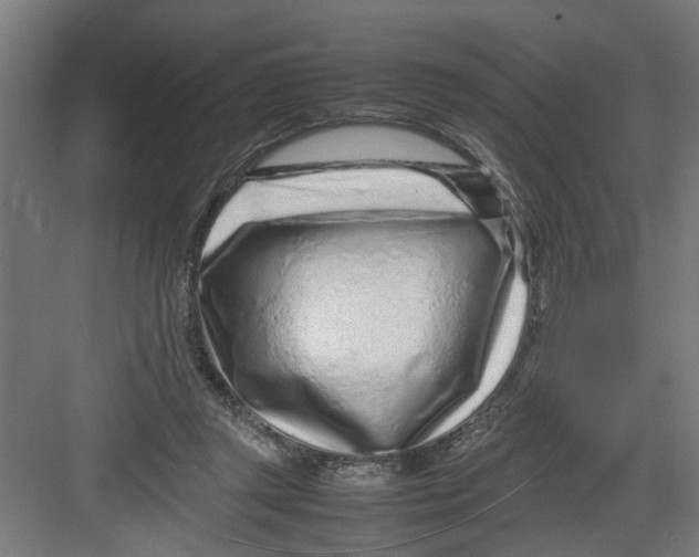 X0000082750357200702162005