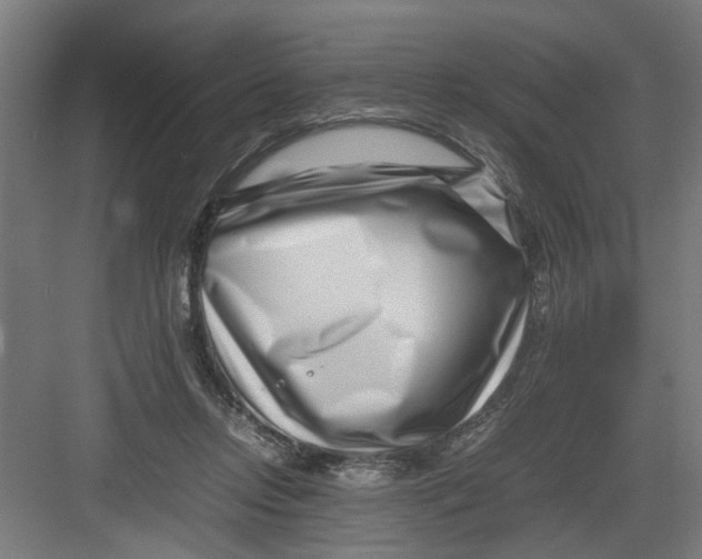 X0000082750358200702162005