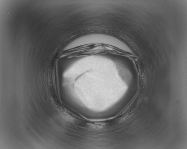X0000082750359200702162005