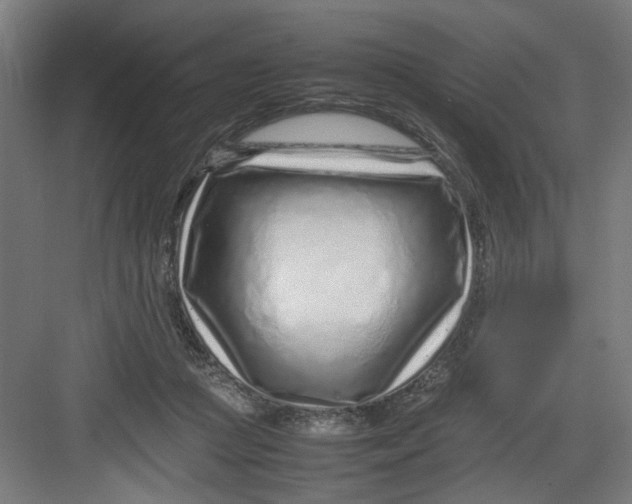 X0000082750361200702162005