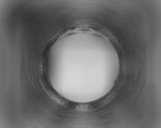 X0000082750362200702162005